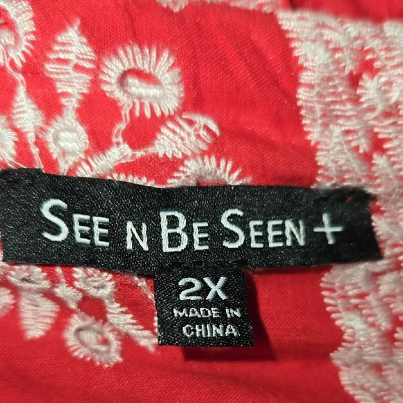 SEEN N BE SEEN 2X EMBROIDERED TIERED BLOUSE ROMANTIC WHIMSY FLORAL TOP SO GOOD!! - Picture 9 of 9